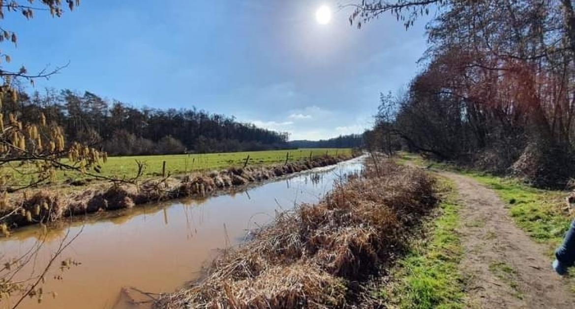 Start Vierde Editie Petranpad Ultra Trail Vanuit Meerlo Nu Horst Aan