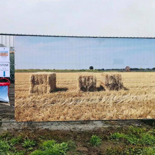 Fotowandeling in Het Groot Veld