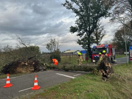 stormschade-021123(2).jpeg