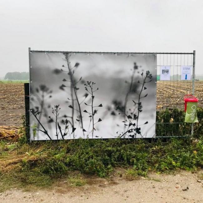 Fotowandeling in Het Groot Veld